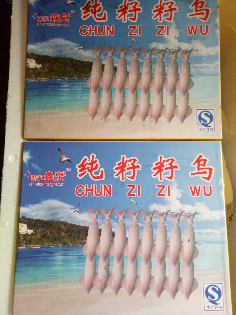 籽乌海兔子笔管鱼全籽籽乌纯籽籽乌