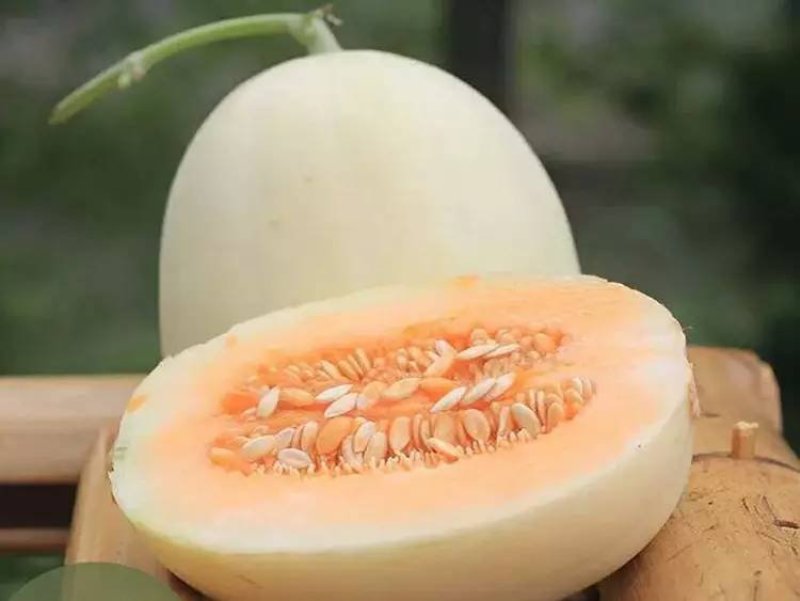 东方蜜3斤