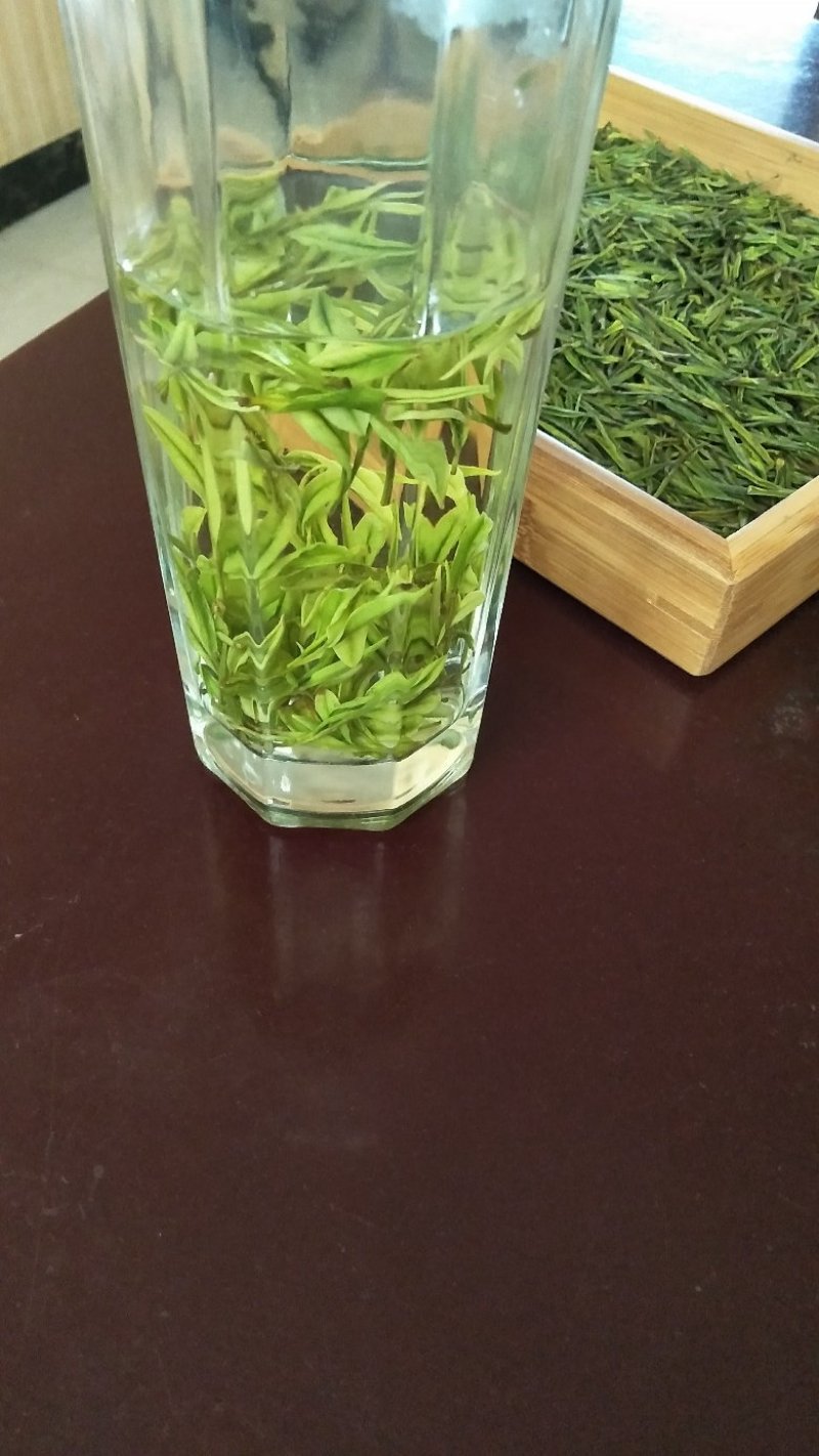 湄潭翠芽