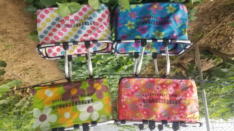 《预售》西瓜9.5成熟1茬，订单生产产品请提前一个月下单