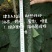 耐热抗病，油亮顺直，密刺，品质保障黄瓜种子