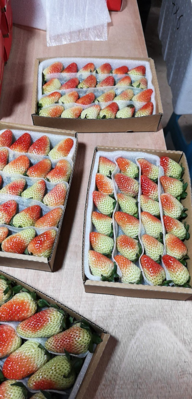 蒙特瑞四季草莓蛋糕烘培草莓，糖葫芦草莓，冷饮草莓