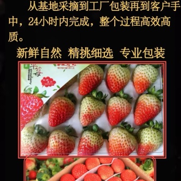 蒙特瑞四季草莓蛋糕烘培草莓，糖葫芦草莓，冷饮草莓