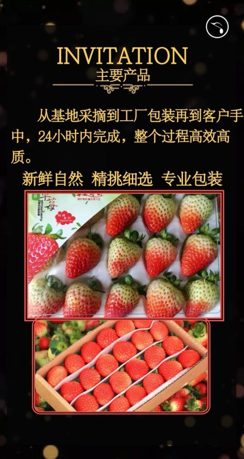 蒙特瑞四季草莓蛋糕烘培草莓，糖葫芦草莓，冷饮草莓