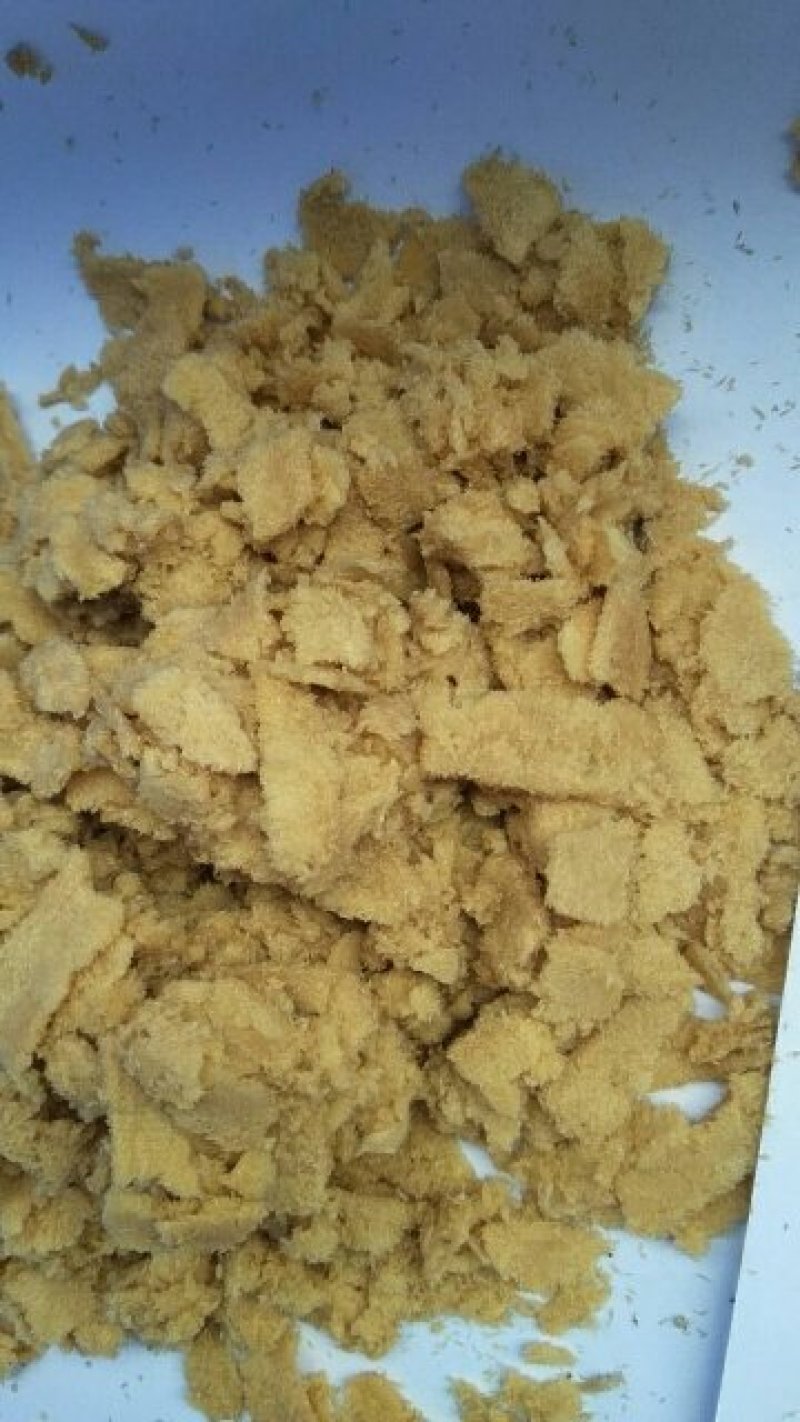批发黑水虻卵