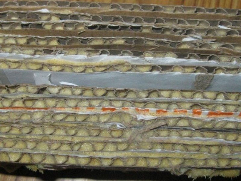 批发黑水虻卵