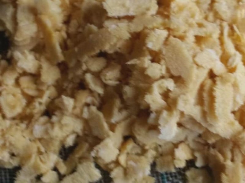 批发黑水虻卵