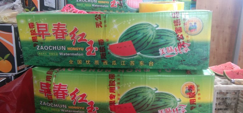 《推荐》安徽砀山早春红玉西瓜，品质保证全国代发。