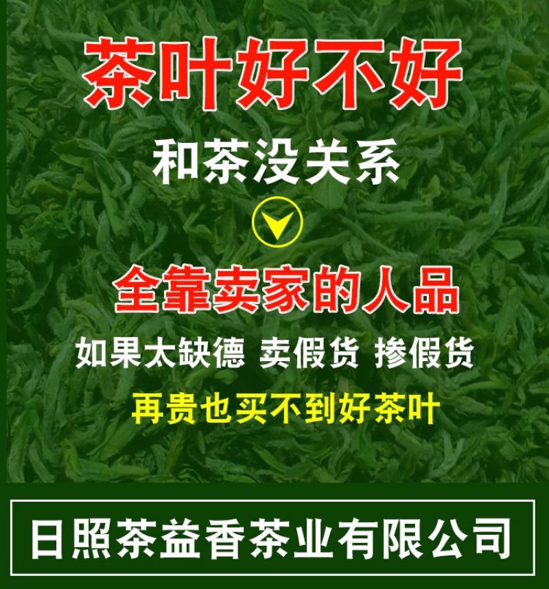 【喝好茶】2023新茶厂家批发正宗日照绿500g包邮尝鲜