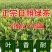 【喝好茶】2023新茶厂家日照绿茶板栗香500g包邮尝鲜