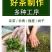 【喝好茶】2023新茶厂家批发正宗日照绿500g包邮尝鲜