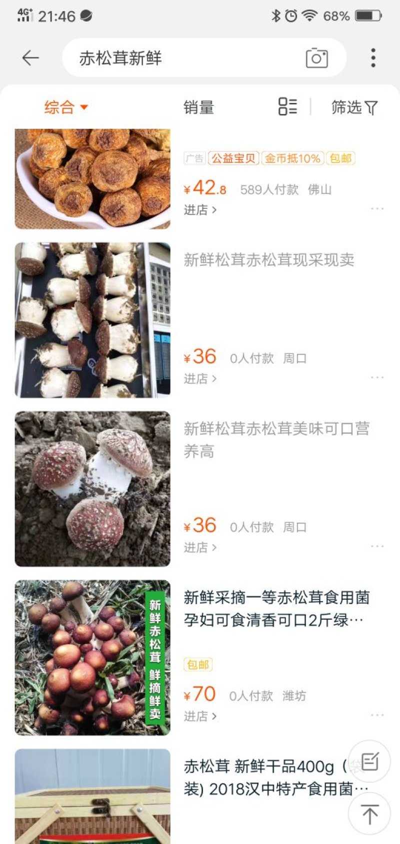 赤松茸