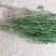 野胡麻百蕊草麦黄草2021年新货已上市