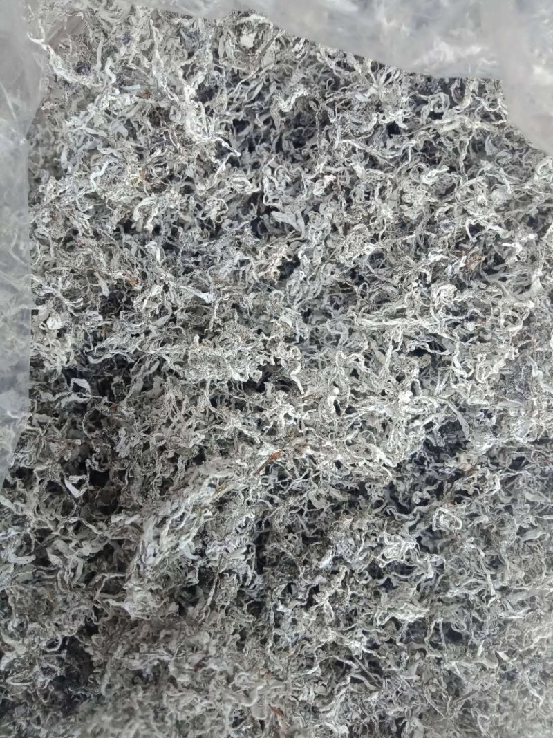 莓茶