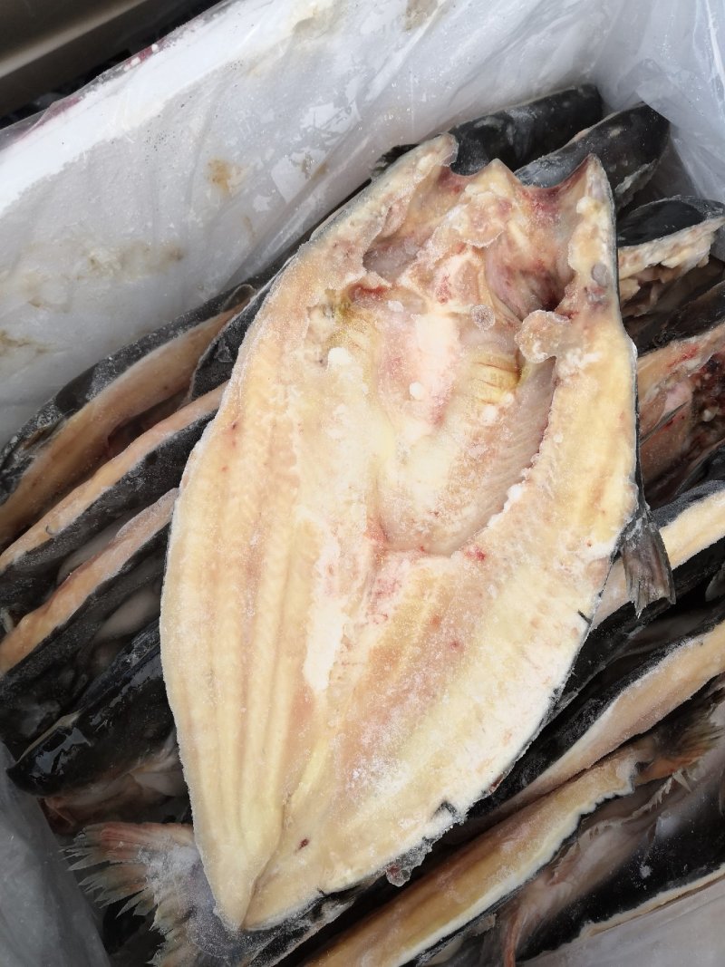 巴沙鱼原条开背