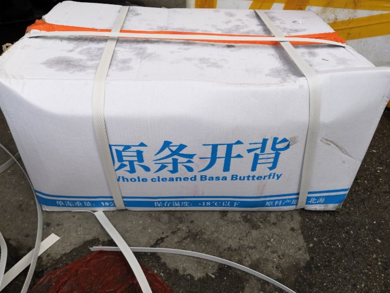 巴沙鱼原条开背