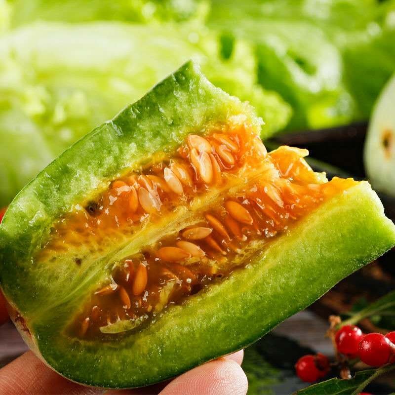 正宗博洋61，酥脆爽口，味极佳