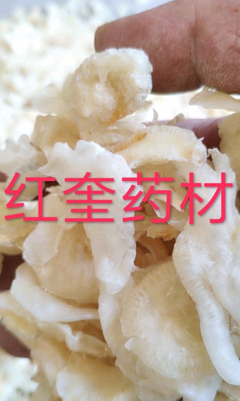 鱼鳔小选货，令售外用药材量有货，需要联系我