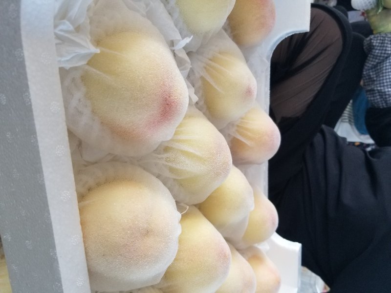 安徽六安脆桃市场