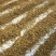 东北野生槲寄生片供应大通货小通货大片圆片斜片