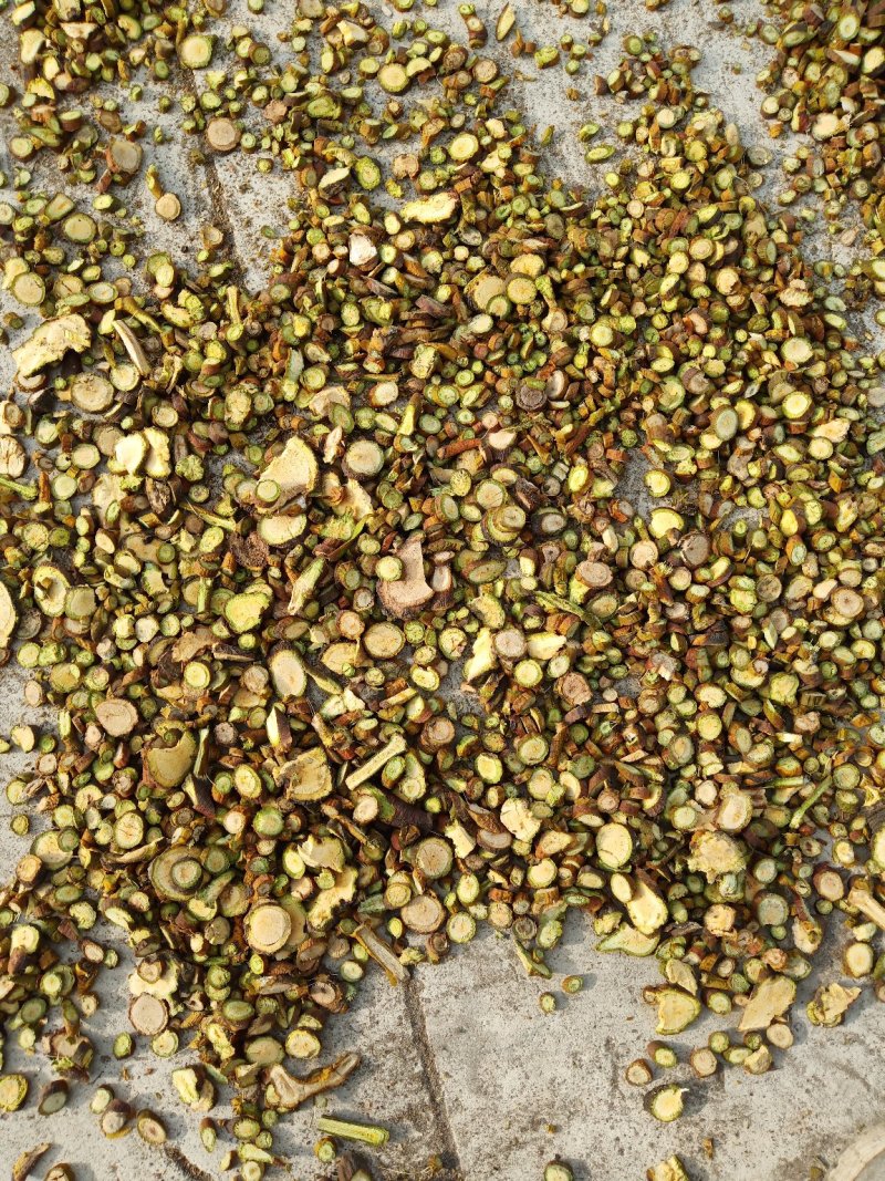 东北野生槲寄生片供应大通货小通货大片圆片斜片
