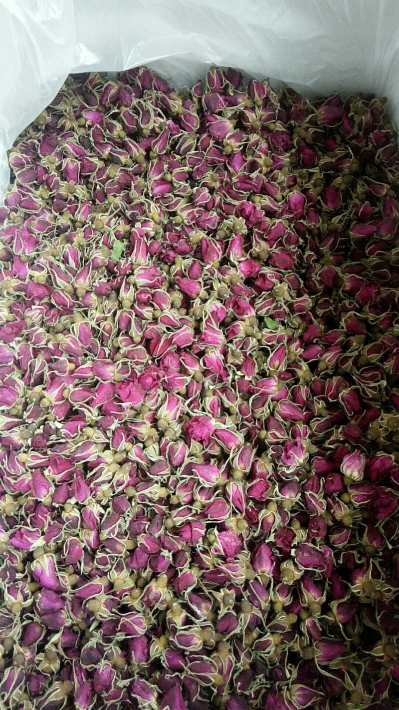 平阴玫瑰花蕾，花冠茶