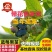 蓝莓苗多个品种，薄雾，奥尼尔，v3.,免费后期指导