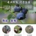 蓝莓苗多个品种，薄雾，奥尼尔，v3.,免费后期指导