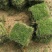 优质马尼拉草皮，货源充足，物美价廉，诚信第一期待您的合作