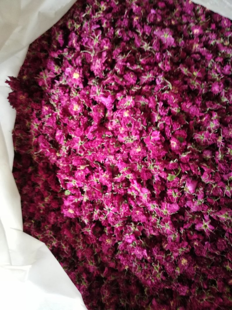 玫瑰花冠无硫一级平阴玫瑰大花冠基地直供
