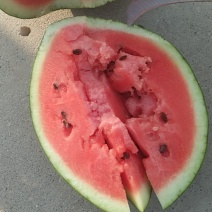 高青西瓜🍉