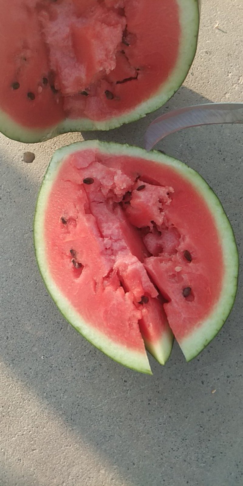 高青西瓜🍉