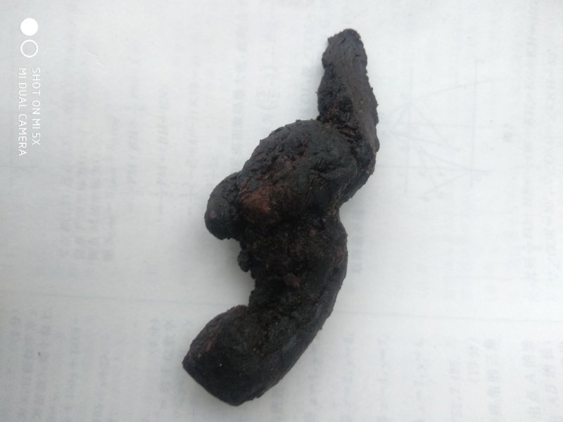 正宗野生九制黄精