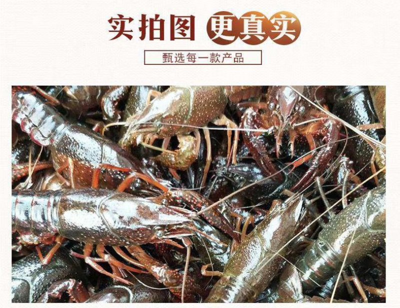 小龙虾，各种规格，各种口味