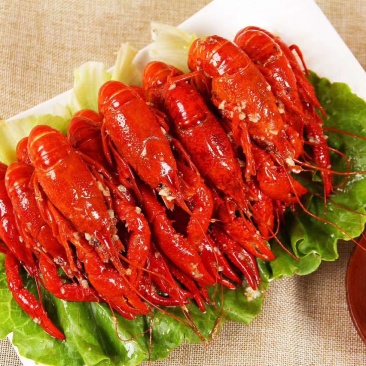 小龙虾，各种规格，各种口味