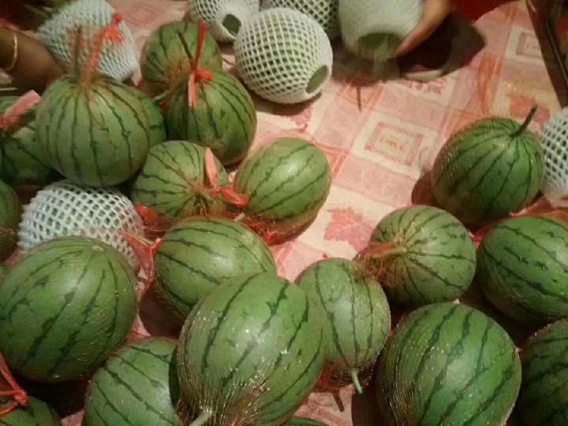 蜜童西瓜无籽皮薄