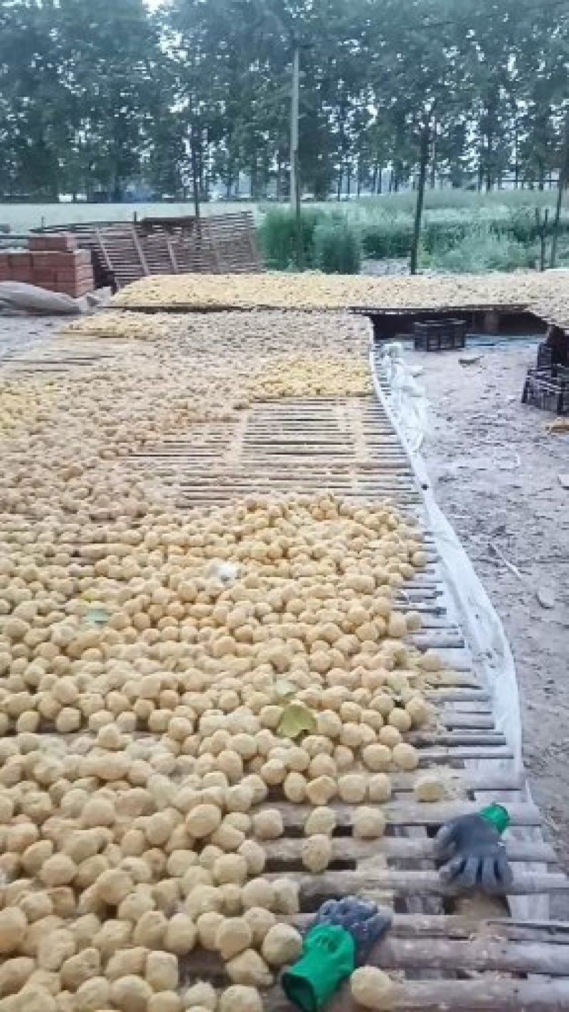 松花蛋