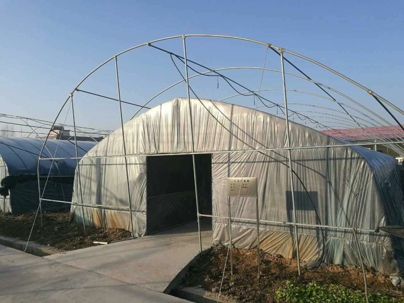 鹤壁淇县食用菌大棚，浚县大棚骨架滑县大棚配件