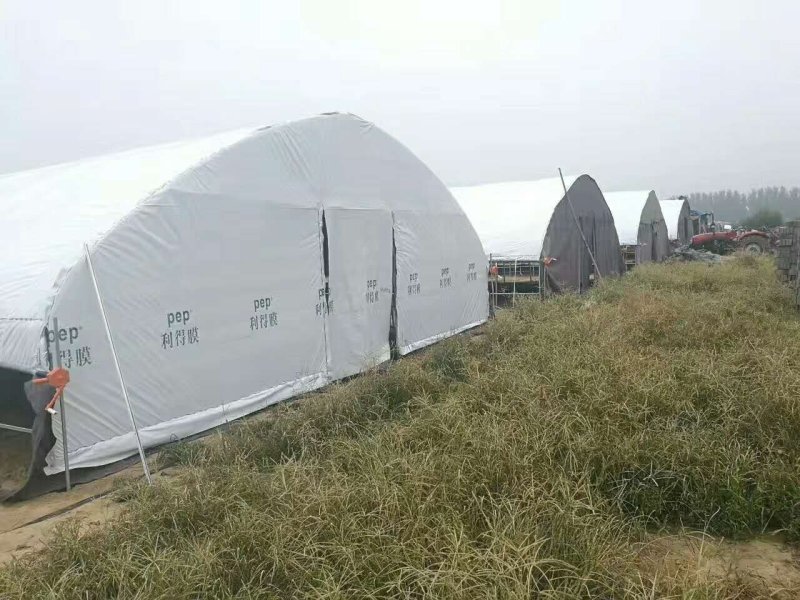 鹤壁淇县食用菌大棚，浚县大棚骨架滑县大棚配件