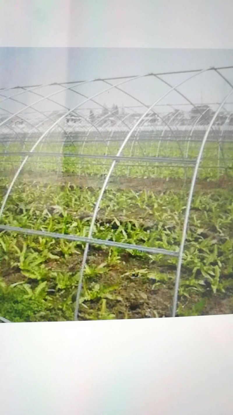 鹤壁淇县食用菌大棚，浚县大棚骨架滑县大棚配件