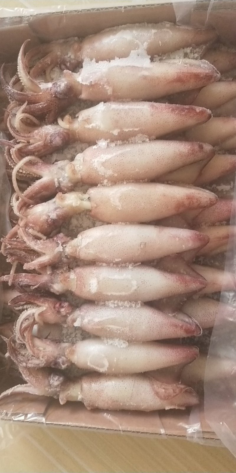 【海兔墨鱼仔八爪鱼海鲜水产鲜活笔管鱼冷冻乌贼满籽籽乌批发