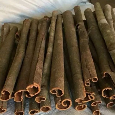 广东德庆自产桂皮供应