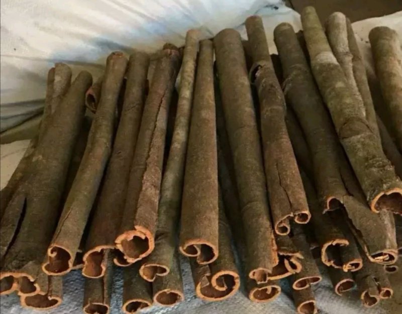 广东德庆自产桂皮供应
