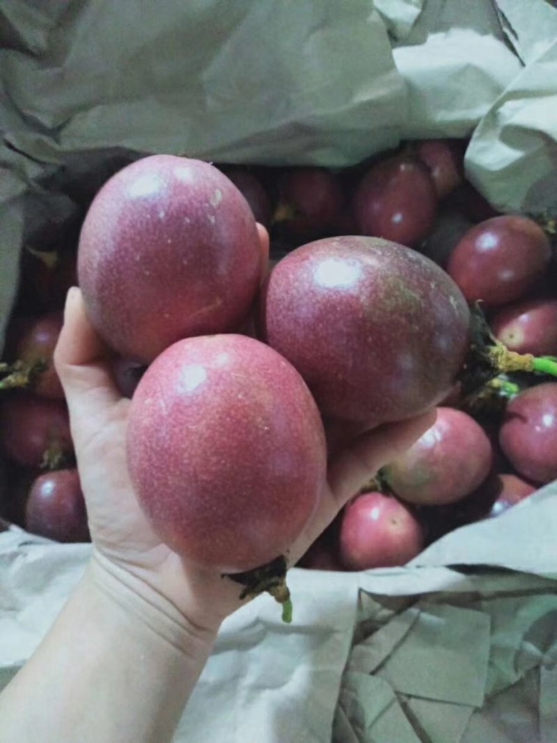 百香果，