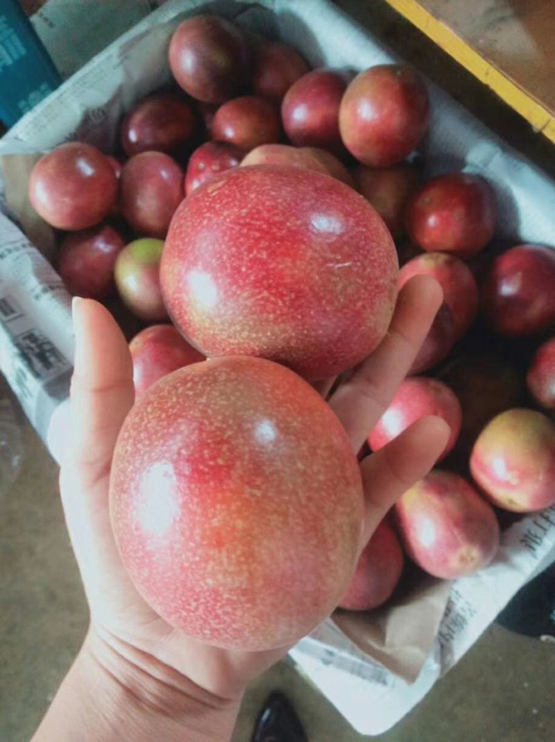 百香果，