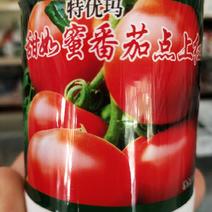 甜如蜜番茄点上红大番茄专用转色成熟快