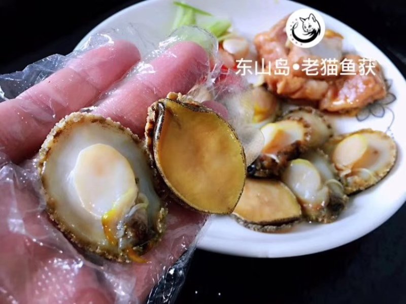鲍鱼