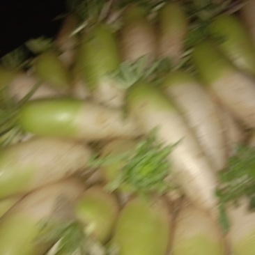 萝卜