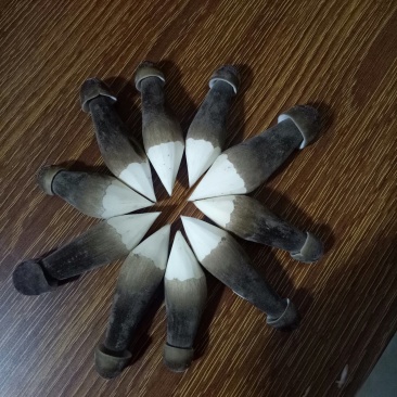 黑皮鸡枞现有1.2.3.4级有需要的电话联系