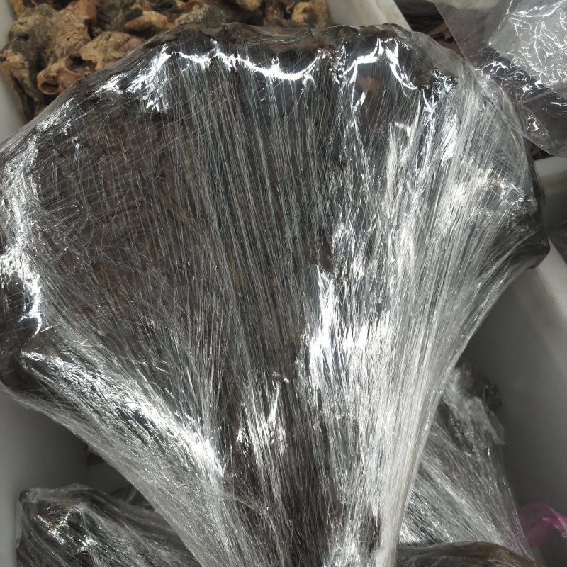 鹿胎益肾壮阳补虚生精月经不调血虚等
